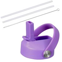 Sendestar Straw Lid for Hydro Flask Wide Mouth Sports Water Bottle with 2 Straws and 1 Brush (voilt)