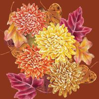 Mayflower Celebration Beverage Napkins