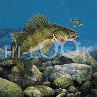 Hi-Look Microfiber Cleaning Cloth - Stinger - Hocked Walleye