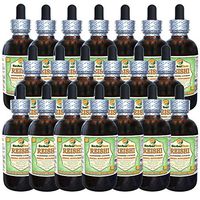 Reishi Mushroom (Ganoderma Lucidum) Glycerite, Organic Dried Mushrooms Alcohol-Free Liquid Extract (Brand Name: HerbalTerra, Proudly Made in USA) 20x4 fl.oz (20x120 ml)