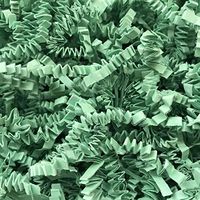Black Cat Avenue 2 LB Mint Crinkle Cut Paper Shred Filler for Gift Wrap and Basket Filler