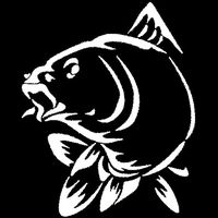 856store The Latest Waterproof Carp Fishing Car Styling Stickers Truck Kayak Boat Decals Decoration