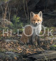 Hi-Look Microfiber Cleaning Cloth - Venturing Out