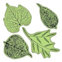 Inkadinkado Stamping Gear Cling Stamps, Fossil Leaves