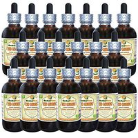 Red Ginseng (Panax Ginseng) Tincture, Organic Dried Roots Liquid Extract (Brand Name: HerbalTerra, Proudly Made in USA) 20x4 fl.oz (20x120 ml)