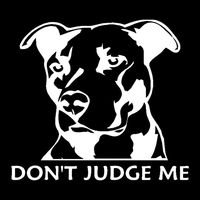 Pitbull Dog Don't Judge Me Car-Styling Truck Decals Reflective Sticker Decor - White