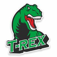 2 x 30cm/300mm T-Rex Dinosaur Vinyl Sticker Decal Laptop Car Travel Luggage Label Tag #9617