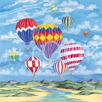 Hi-Look Microfiber Cleaning Cloth - Balloon