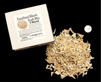 One Pound of Genuine Shark Teeth - Fossilized Moroccan Teeth! - Wholesale Bulk Shark Teeth!