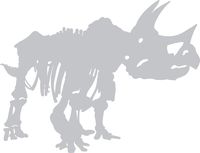 hBARSCI Triceratops Skeleton Vinyl Decal - 5 Inches - for Cars, Trucks, Windows, Laptops, Tablets, Outdoor-Grade 2.5mil Thick Vinyl - Silver Gray