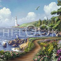 Hi-Look Microfiber Cleaning Cloth - Destiny Point