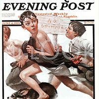 Hi-Look Microfiber Cleaning Cloth - No Swimming