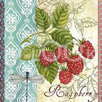 Hi-Look Microfiber Cleaning Cloth - Raspberries