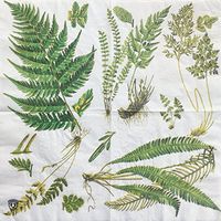 Colored Paper Napkins, 20 Count Shabby Chic Napkins for Wedding, Dinner Tea Party Shower (Fern, 1)