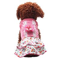 haoricu Puppy Clothes, Flower Skirts Crystal Bowknot Lace Floral Princess Dress (M)