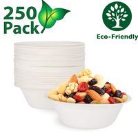 Disposable Paper Bowls 500Ml Strong Bagasse Biodegradable and Recyclable Bowls Great for Ice Cream, Chili Or Soup, Pack of 250
