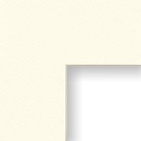 Craig Frames B251 22x28-Inch Mat, Single Opening for 20x24-Inch Image, Antique White with Cream Core