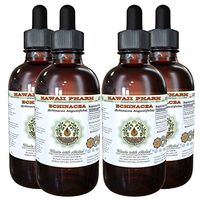 Echinacea Alcohol-Free Liquid Extract, Echinacea (Echinacea Angustifolia) Dried Root Glycerite Hawaii Pharm Natural Herbal Supplement 4x4 oz