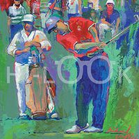 Hi-Look Microfiber Cleaning Cloth - Golf