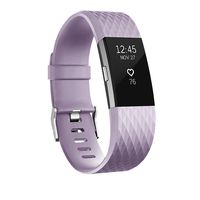 POY Replacement Bands Compatible for Fitbit Charge 2, Special Edition Adjustable Sport Wristbands, Large Lavender