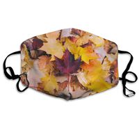 YUIOP Color Autumn Maple Leaves Printed Mask Neutral Mask for Men and Women Polyester Dust-Proof Breathable Mask