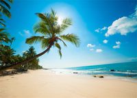 Leowefowa Vinyl 7X5FT Sand Beach Backdrop Seaside Coconut Trees Sunshine Tropical Blue Sky Ocean Photography Background Kids Adults Summer Holiday Journey Lover Wedding Photo Studio Props