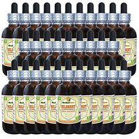 Bilberry (Vaccinium Myrtillus) Tincture, Dried Berries Liquid Extract (Brand Name: HerbalTerra, Proudly Made in USA) 30x2 fl.oz (30x60 ml)