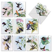 Watercolor Painted Hummingbird Note Cards (10 Pack) - Beautiful Blank Greeting Cards for All Occasions - Assorted Bird and Flower Notecards 'Humming Along' - Stationery Cards with Envelopes M10034BK