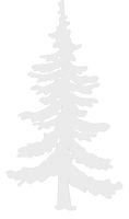 hBARSCI Pine Tree Vinyl Decal - 11 Inches - for Walls, Windows, Doors, Vehicles, Outdoor-Grade 2.5mil Thick Vinyl - White