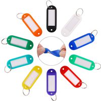 InterUS 50 Pack Key Tags, Plastic ID Labels Tags with Split Ring Label Window, Assorted Colors