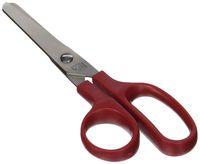 Charles Leonard Children's Scissors, Blunt Tip, 5 Inches, Stainless Steel, Assorted Colors (80510)
