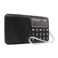 Portable Pocket FM/AM/SW Radio, HePesTer H-R928 Handy Radio with Headset Output/AUX Input/MP3/External Speaker/16GB TF Card/16GB USB, Powered by Lithium Battery (Black)