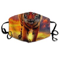 Unisex Funny Decor Mouth Mask with Adjustable Strap, Anti Flu Healthy Half Face Mask, Big Tiger King Windproof Masks, Comfortable and Washable for House Work School Office