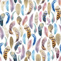 Jillson & Roberts Bulk Gift Wrap, Featherly, Full Ream 833' x 30"