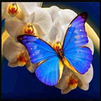 Toosvan Cat 5D Diamond Painting for Adults, Home Decor Clearance DIY Crystals Diamond Painting Rhinestone Painting Needlework Cross Stitch Counted Kit 5D Diamond Painting Embroidery Wall Art Decor (H)