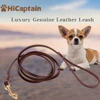 HiCaptain 0.23 inch x 6 feet Thin Leather Pet Leash, Durable Dog Leashes Suit for Small Dog Up to 15 lb