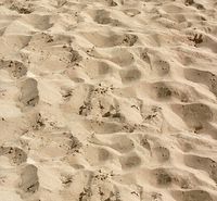 DCWVE Die Cuts with A View Open Stock Paper 12 x 12-Single-Sided-Sandy Beach OS-003-00091