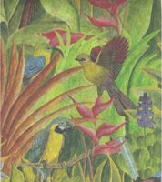 Tropical Birds Tissue Wrapping Paper-20 Sheets