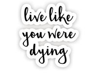 Live Like You were Dying - Inspirational Quote Stickers - 2.5" Vinyl Decal - Laptop, Decor, Window Vinyl Decal Sticker