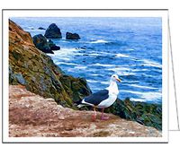 Bodega Gull- Set of 6 Blank Notecards by Doggylips