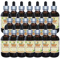 American Ginseng (Panax Quinquefolius) Tincture, Dried Root Liquid Extract (Brand Name: HerbalTerra, Proudly Made in USA) 20x4 fl.oz (20x120 ml)