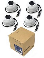 4X HD CVI TVI AHD CVBS 2MP 1080p 960H 4-in-1 Outdoor IR Dome Eye Ball Security