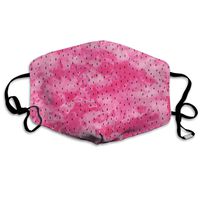 Watermelon Pink Watercolor Seeds Dust Mask,Washable and Reusable Cleaning Gardening Outdoor Activities Warm Windproof Mask