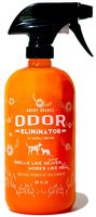 ANGRY ORANGE 24 oz Ready-to-Use Citrus Pet Odor Eliminator Pet Spray - Urine Remover and Carpet Deodorizer for Dogs and Cats