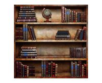 Laeacco 8x8ft Vinyl Backdrop Old Books Bookshelf Photography Background Texture Ancient Style Globe on Bookcase Background Room Wall Decoration Students Adult Art Photo Shoot Portrait TV Video