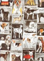 Alex Clark Art Dog Squares Gift Wrapping Paper 2 Sheets 19.5 in x 27.5 in
