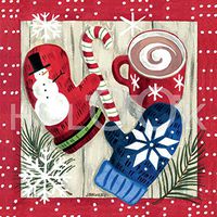 Hi-Look Microfiber Cleaning Cloth - Mittens