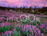 Hi-Look Microfiber Cleaning Cloth - The Grand Teton, Wyoming