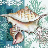 Shells of the Sea Paper Cocktail Napkins