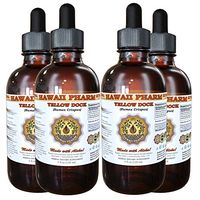 Yellow dock (Rumex crispus) Liquid Extract 4x4 oz